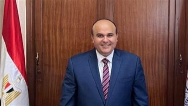 الدكتور محمد صافى