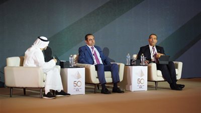 الصندوق السيادي: العوائد من الاستثمار في السوق المصري تعوض أي خسائر متوقعة أو محتملة