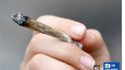 ألمانيا تفرض قيودًا جديدة على مبيعات القنب عبر الإنترنت بعد ارتفاع قياسي في الواردات