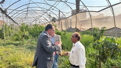 الزراعة: المحميات الزراعية في الهرم والدقي 34 فدانًا.. ونتوقع مردودا اقتصاديا كبيرًا لها