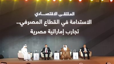 رئيس موانئ دبي: ميناء السخنة الأهم في البحر الأحمر.. وندير 75 مليون حاوية سنويًا