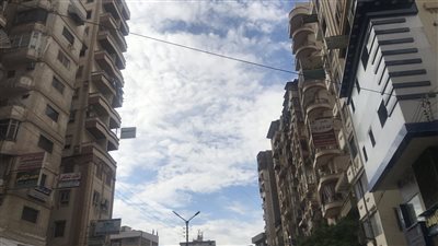 تحسن في حالة الطقس بالدقهلية.. والعظمى 30 درجة