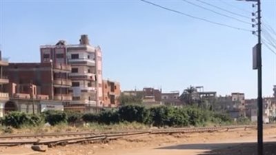 بعد زوال الشبورة.. استقرار حالة الطقس في كفر الشيخ | بث مباشر