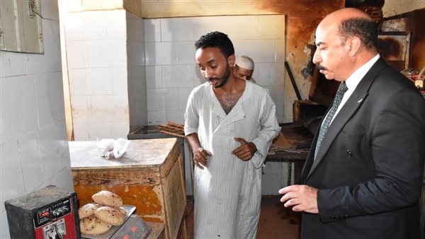 محافظ أسوان