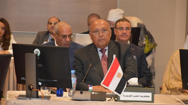 وزير الخارجية يشارك