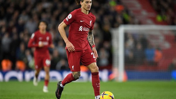  داروين نونيز