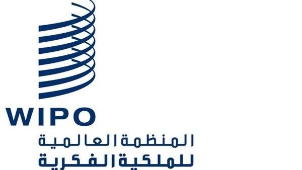 المنظمة العالمية