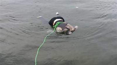 أمن سوهاج يكثف جهوده لفك لغز العثور على جثة غريق مجهول الهوية في نهر النيل بدار السلام