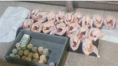 التحقيق مع صاحب شركة حاول تهريب عملات أجنبية داخل دجاج مجمد بمطار القاهرة