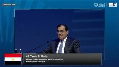 وزير البترول: نسعى لرفع مساهمة الطاقة المتجددة في توليد الكهرباء إلى 40% بحلول 2030
