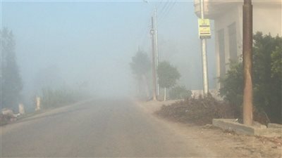 الأرصاد: شبورة مائية على طرق كفر الشيخ مع استمرار احتمالية سقوط الأمطار