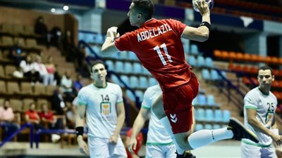 الأهلي يفوز على البنك ضمن منافسات دوري المحترفين لكرة اليد