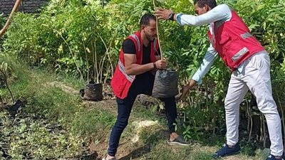 غرس 50 شجرة في مبادرة أبطال المناخ للهلال الأحمر بالأقصر