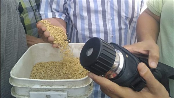 توريد الأرز ببورسعيد