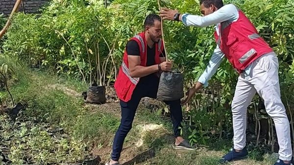 زرع الاشجار