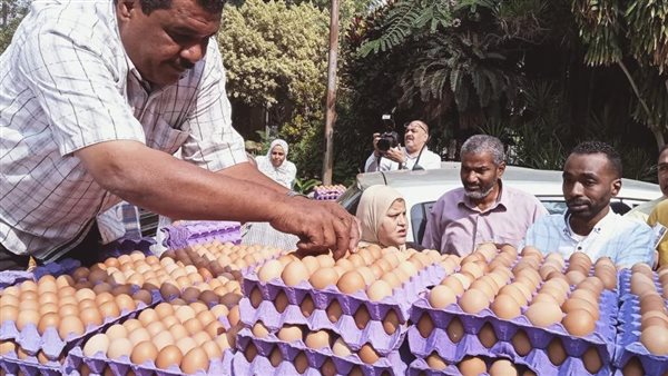 اسعار البيض اليوم