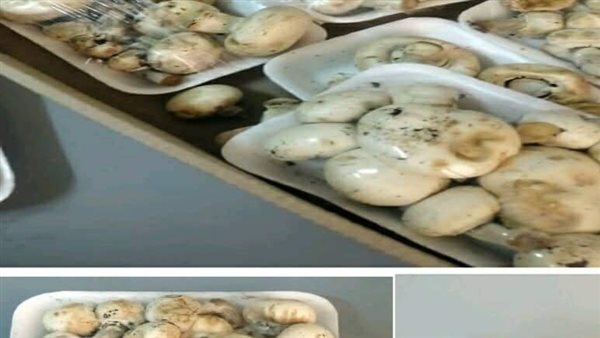 ليبيا ترفض شحنة فطر