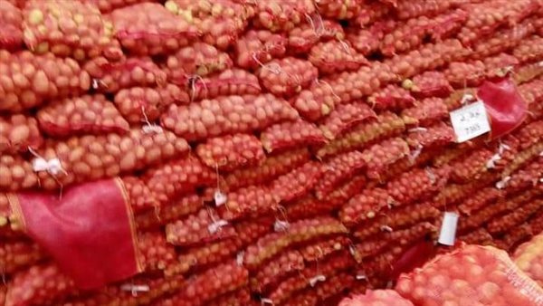 تصدير البطاطس