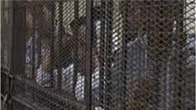 اليوم.. محاكمة 22 متهمًا في قضية الهيكل الإداري للإخوان