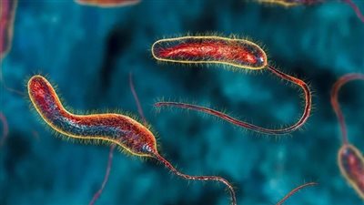 انتشار الكوليرا في مخيم لاجئين بـ كينيا.. والصحة العالمية تحذر من ارتفاع الإصابات