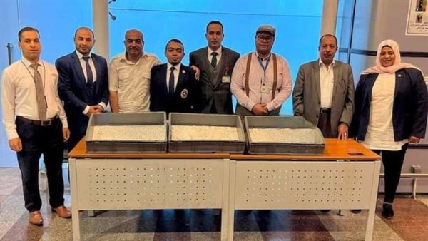 جمارك مطار الغردقة