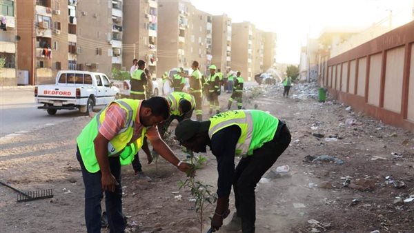 زراعة الأشجار 