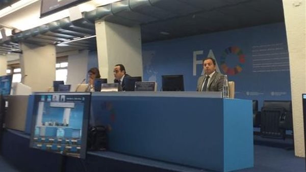 السفارة المصرية في