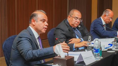 رئيس الرقابة المالية يشارك في مائدة مستديرة مع خبراء دوليين في التمويل والتنمية 