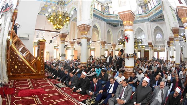 محافظ الإسكندرية