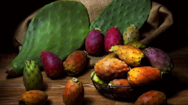 فوائد التين الشوكي