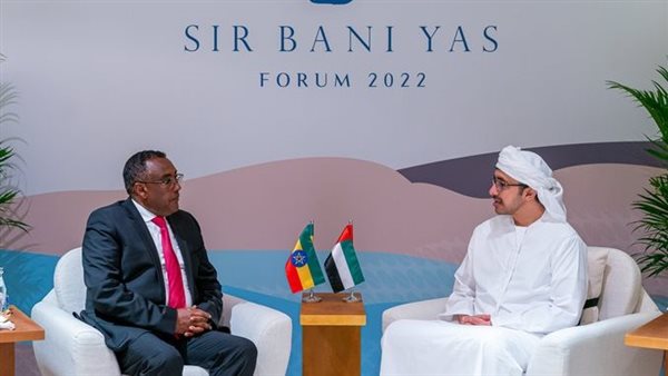 وزير الخارجية الإماراتي