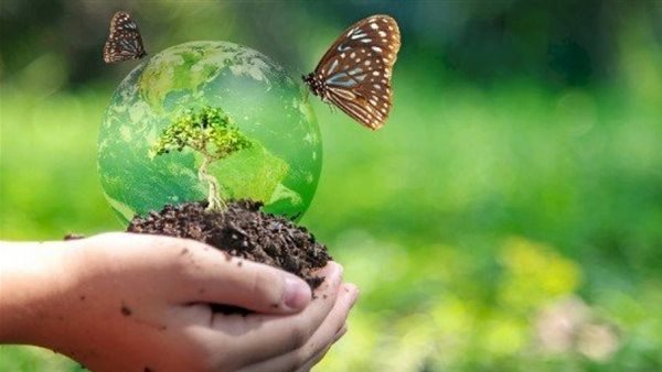 قمة المناخ 2022