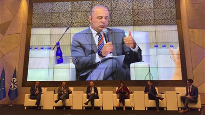 نائب وزيرة التخطيط: تخصيص 50 مليار جنيه لتمويل مشروعات للأسر محدودة الدخل 