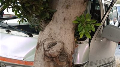 إصابة 9 أشخاص في حادث تصادم ميكروباص بـ شجرة بالشرقية | صور