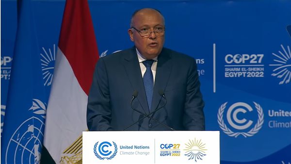 سامح شكري الرئيس