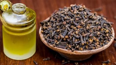 فوائد القرنفل للشعر.. يحمي من التقصف 