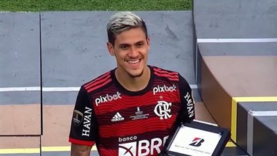 نجم البرازيل يطلب الزواج من صديقته بعد استدعائه لكأس العالم| فيديو