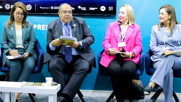  محمود محيي الدين