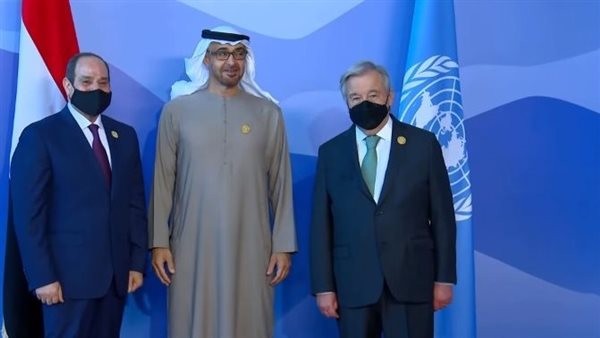 السيسي ومحمد بن زايد