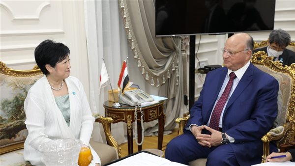 محافظ القاهرة ومحافظ