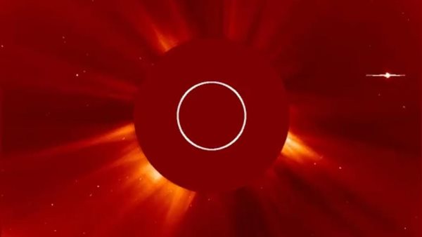 الشمس تبتلع مذنبا