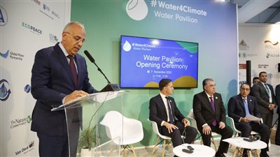 بسبب التغيرات المناخية.. وزير الري: حماية السواحل الشمالية أمر ضروري لسلامة المواطنين في مصر