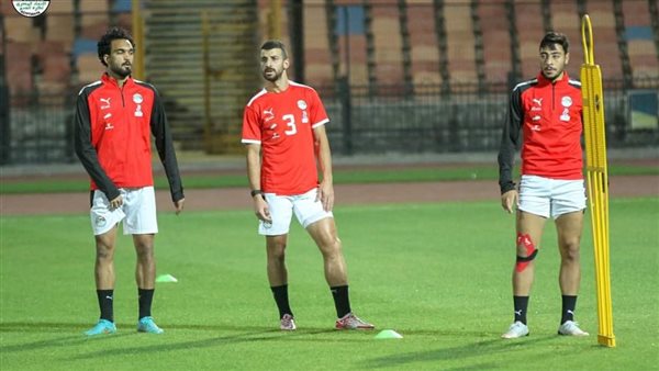 محمود متولي