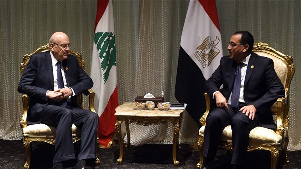 رئيس الوزراء يلتقي