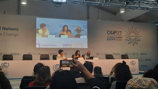 سناء عبد الفتاح خلال