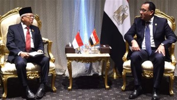 رئيس الوزراء يلتقي