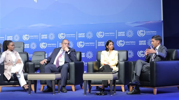  الدكتور محمود محيي