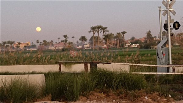 سماء بني سويف 