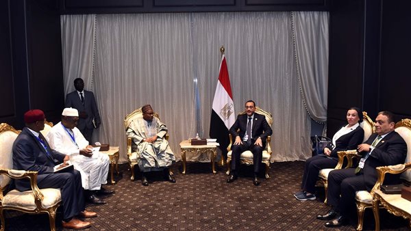 رئيس الوزراء يلتقي