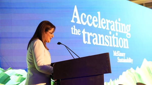 وزيرة التخطيط والتنمية